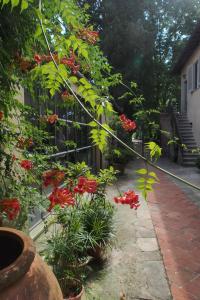 a garden with red flowers and a fence at I Parigi Corbinelli Residenze in Florence