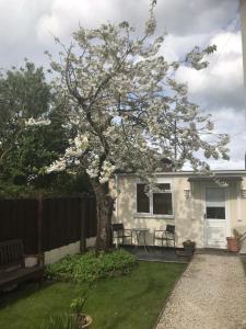 een magnolia boom in de tuin van een huis bij The Engine Shed in Weston-super-Mare