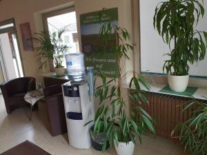a room with potted plants and a drink dispenser at Hotel Grüner Baum in Bretzenheim