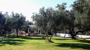 Foto dalla galleria di Rodis Studios a Tsilivi Altre 53 foto