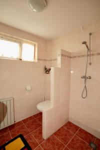 a bathroom with a shower and a toilet at Kuipers Bed in Volendam