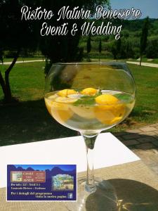 a glass of white wine with lemons in it at Casale Valle Agnese in Godrano