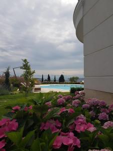 A garden outside Sea Garden Delux