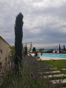 The swimming pool at or close to Sea Garden Delux