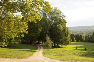Φωτογραφία από το άλμπουμ του La Clairière de la reine Hortense - Pierres d'Histoire σε Saint-Prix