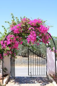 Fotografie z fotogalerie ubytování Alex Home Apartments v destinaci Hersonissos