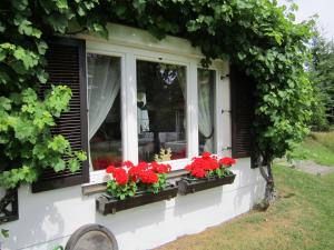 Zahrada ubytování Haus Holunder Weissbriach + 37 fotografií