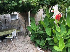Vonkajšia záhrada v ubytovaní Villa Lorenta Apartments