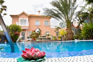 Basen w obiekcie Apartamentos Los Delfines lub w pobliżu