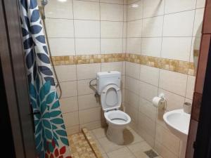 a bathroom with a toilet and a sink at Vila Hera in Eforie Sud +39 photos