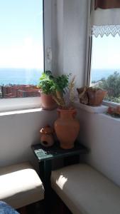 a window with potted plants on a table in a room at Rooms Sijak in Bar