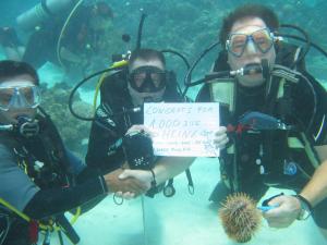 drie mensen in duikuitrusting met een bord in het water bij Bohol-Lahoy Dive Resort in Guindulman