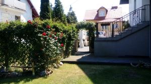 a house with a staircase and a yard with roses at Biały Domek in Stegna