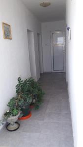 Foto sihtkohas Bar asuva majutusasutuse Rooms Sijak galeriist