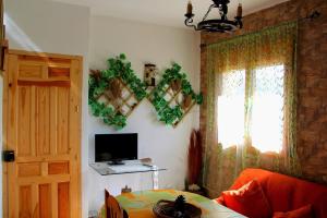 a living room with a bed and a tv and a window at Alojamiento Buena Vista in Alcalá del Júcar