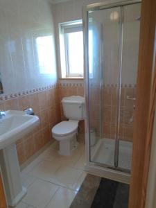 e bagno con servizi igienici, doccia e lavandino. di Burren Rock Farmhouse B&B a Turlough