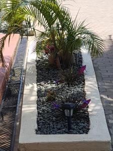 Zahrada ubytování Sheevy"s Bed N Breakfast