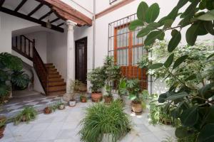 グラナダにあるStunning Alhambra view balconies, in the Albayzinのギャラリーの写真