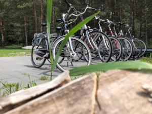 a row of bikes parked next to each other at Leśna Chata in Cieszanów