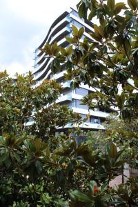 a tall white building behind a tree at Apartman Bo&scaron;ković in Budva