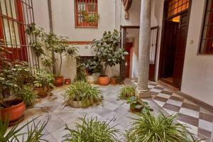 Vonkajšia záhrada v ubytovaní Luminous Alhambra view apartment in Albayzín