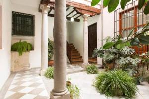 グラナダにあるLuminous Alhambra view apartment in Albayzínの中庭の柱植物