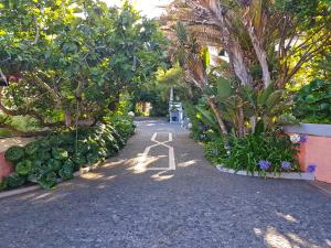 a garden with trees and plants on a street at Albatroz Beach & Yacht Club in Santa Cruz