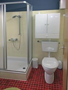 ein Bad mit einem WC und einer Dusche in der Unterkunft Ferienwohnung Brigitte in Schruns-Tschagguns