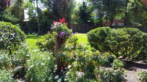 Zahrada ubytování Haus Annegrete mit überdachter Terrasse zum Garten
