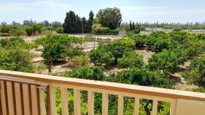 A garden outside La Caseta del Pitxo