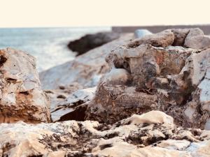 un cumulo di rocce su una spiaggia con l'oceano di B&B NiloSira a Morciano di Leuca