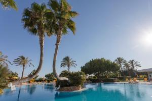 a swimming pool with palm trees in a resort at Alfagar Alto da Colina in Albufeira