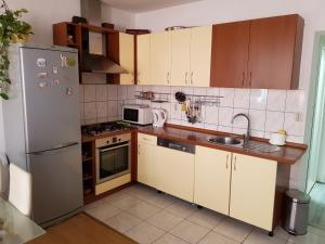 Kuchyň nebo kuchyňský kout v ubytování Apartments Centar - Mirjana
