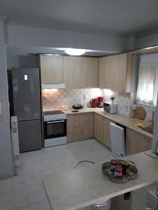 Kuchyň nebo kuchyňský kout v ubytování Bourlis Apartments