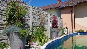 a retaining wall with plants and a swimming pool at Villa Nobis in Łeba