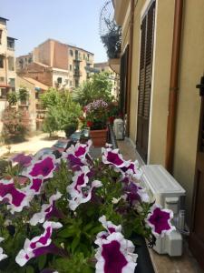 a bunch of purple and white flowers on a building at Le Casette di Laura in Palermo