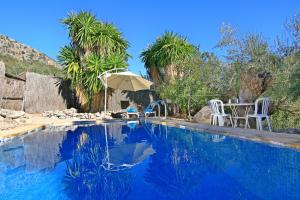 a swimming pool with chairs and an umbrella and palm trees at Casas Rurales Los Algarrobales in El Gastor