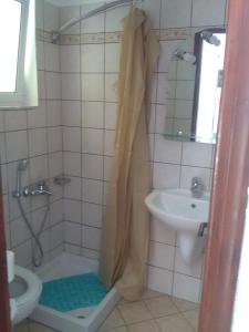 a bathroom with a shower and a sink and a toilet at Villa Thomas in Agios Georgios Pagon