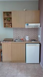 Virtuvė arba virtuvėlė apgyvendinimo įstaigoje Anastasis Apartments