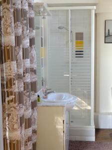 a bathroom with a sink and a shower at Château d'Avanton in Avanton