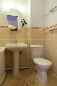 a bathroom with a toilet and a sink and a mirror at Apart Hotel Cherepovets in Cherepovets