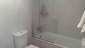a bathroom with a shower with a toilet and a tub at Apartamento O pombal in Cambados +4 photos