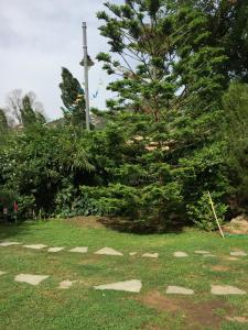 A garden outside La ginestra Chia B&B