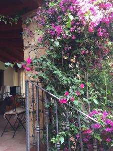 A garden outside La ginestra Chia B&B