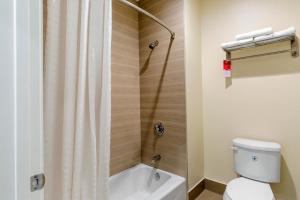a bathroom with a shower curtain and a toilet at Econo Lodge Inn & Suites Houston Willowbrook in Houston