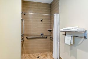 Gallery image of Econo Lodge Inn & Suites Houston Willowbrook in Houston