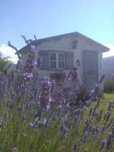 Zahrada ubytování B&B Fonte Cugno