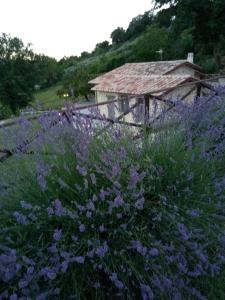 Zahrada ubytování B&B Fonte Cugno