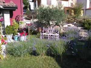 Zahrada ubytování B&B Fonte Cugno