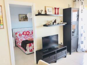 TV a/nebo společenská místnost v ubytování Apartament El Castillo De Bonalba